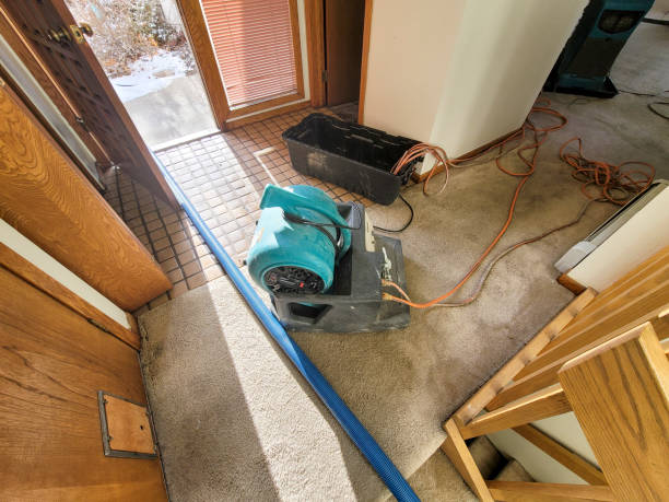Best Basement water damage restoration  in Breaux Bridge, LA