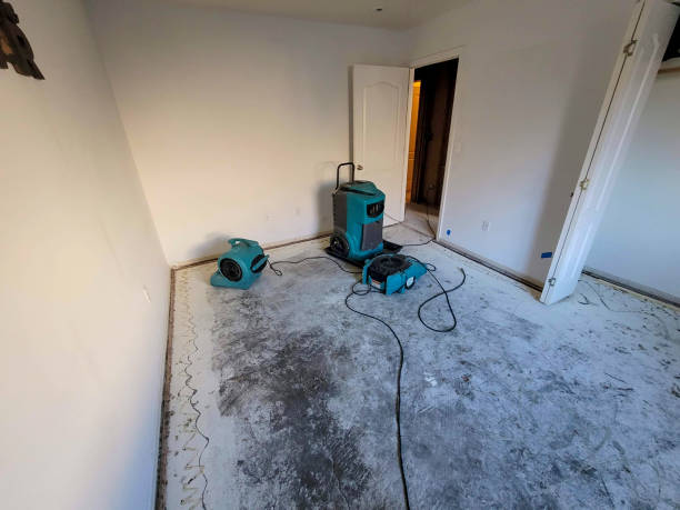 Best Local water damage restoration  in Breaux Bridge, LA
