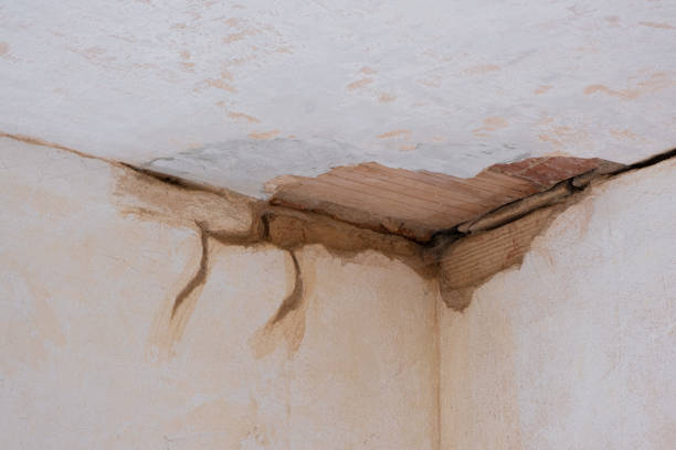 Best Sewage cleanup and water damage restoration  in Breaux Bridge, LA