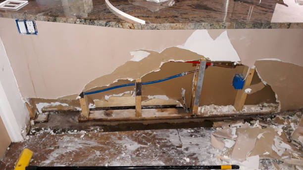Best Mold removal after water damage  in Breaux Bridge, LA
