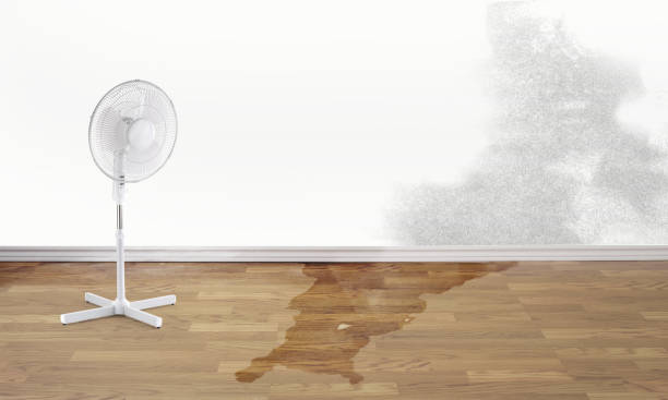 Best Carpet water damage restoration  in Breaux Bridge, LA